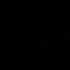 Meet your Posher, Rose